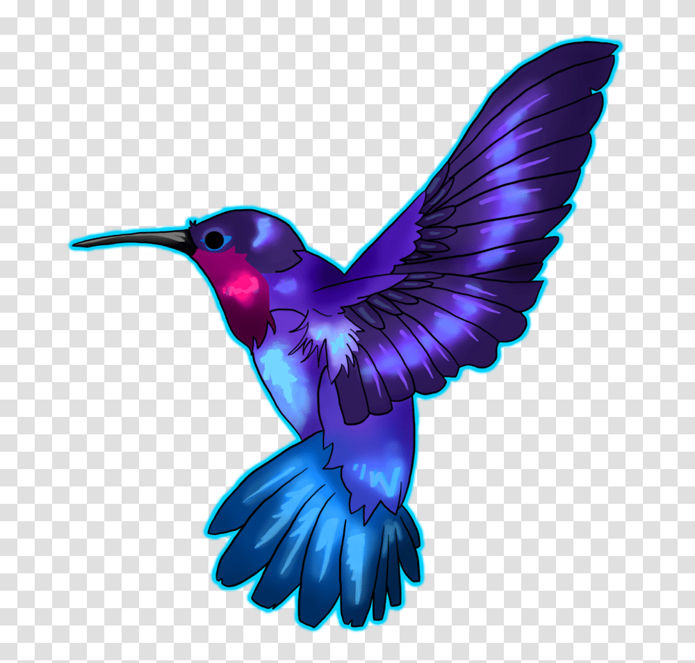 Hummingbird Art Photo, Jay, Animal, Bluebird, Blue Jay Transparent Png