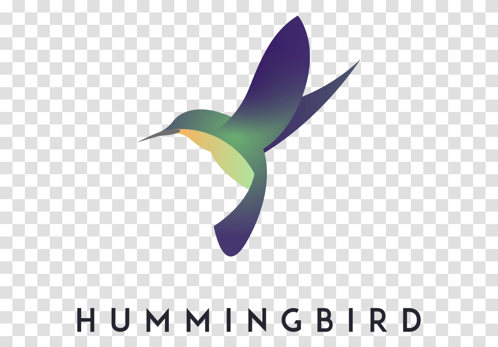 Hummingbird Associates Logo Ruby Throated Hummingbird, Animal, Beak, Machine, Waterfowl Transparent Png