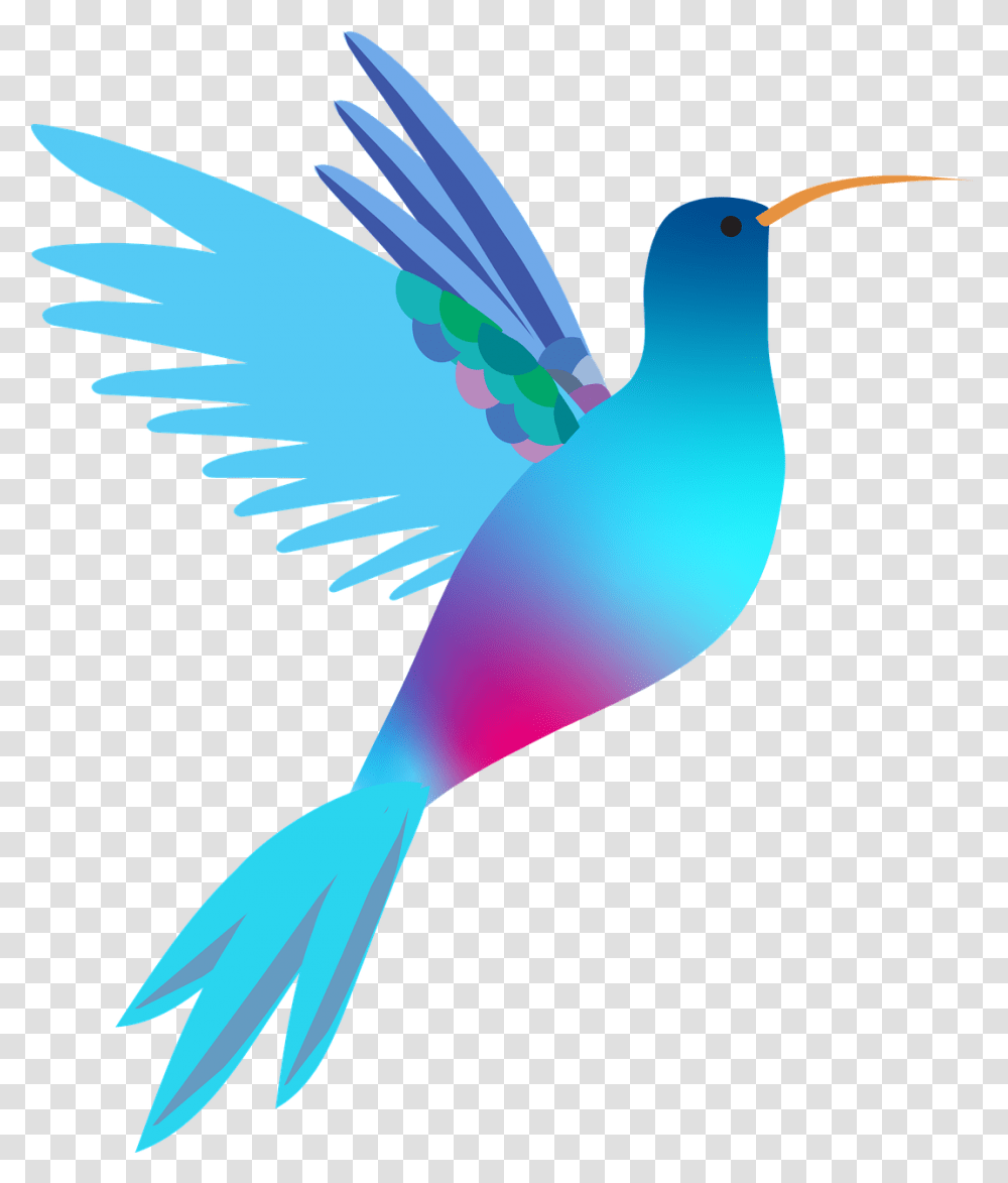 Hummingbird Bird Wedding Mothers Free Vector Graphic On Hummingbird, Animal, Flying, Beak, Waterfowl Transparent Png