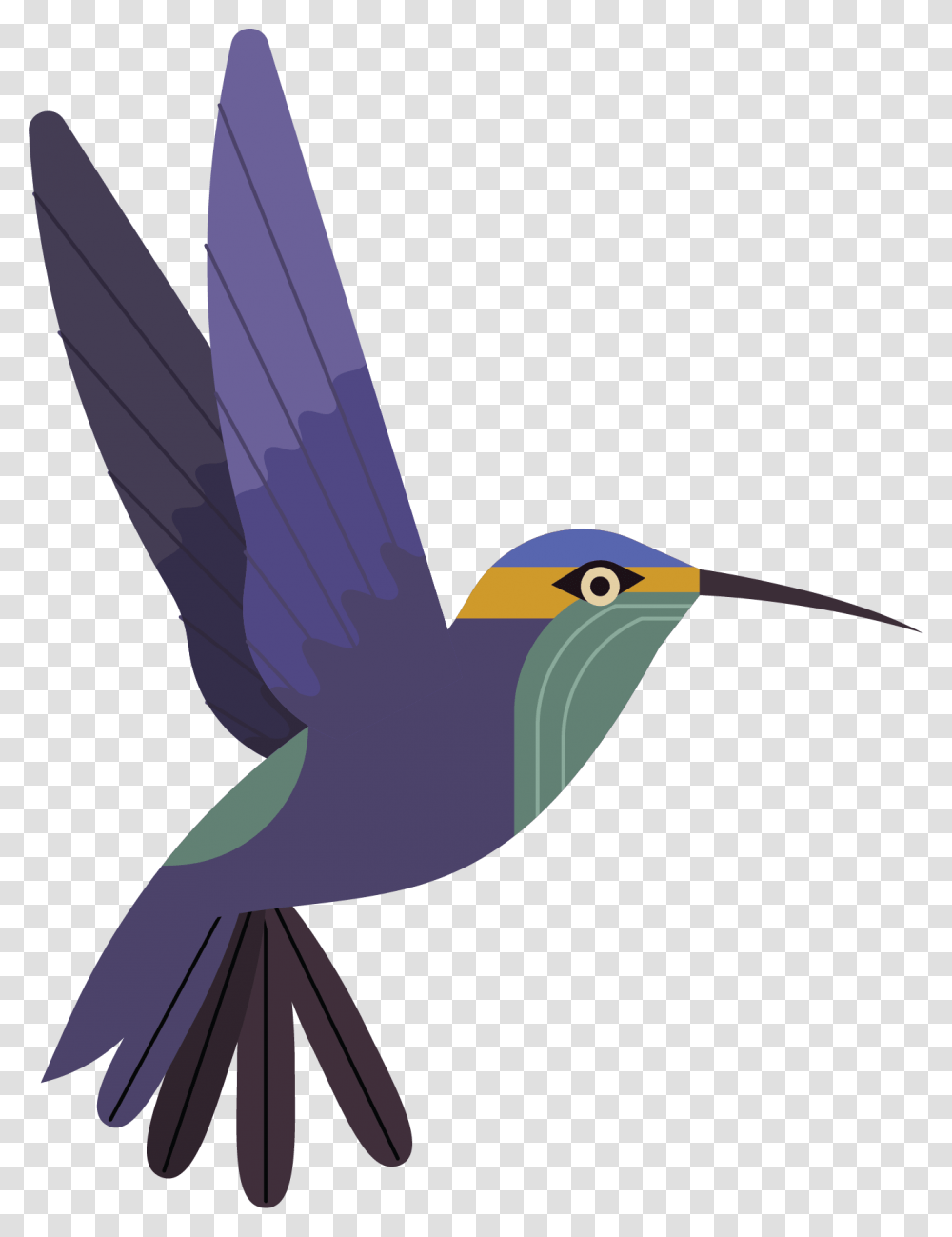 Hummingbird, Bluebird, Animal, Jay, Bee Eater Transparent Png