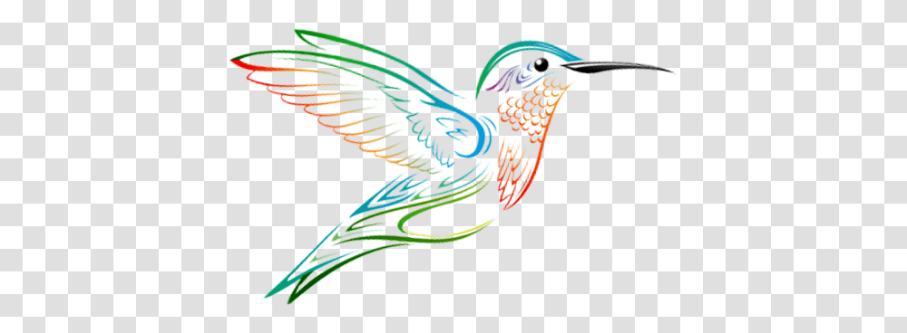 Hummingbird, Bluebird, Animal, Snake, Reptile Transparent Png