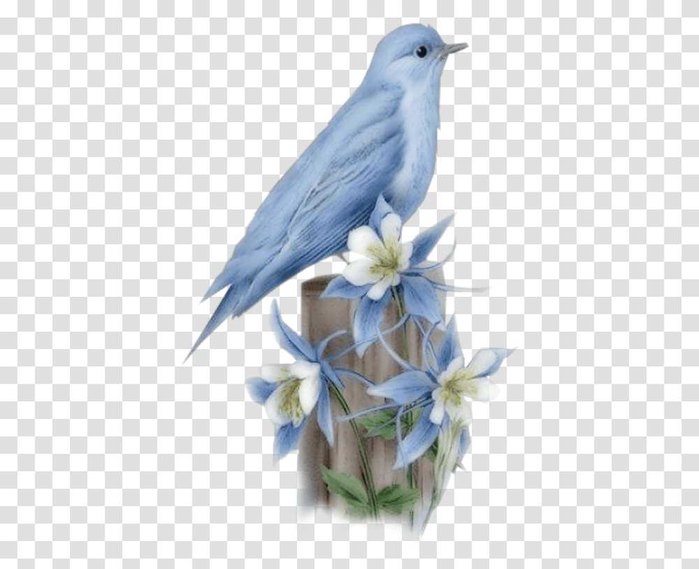 Hummingbird Bluebird Of Happiness Bird, Animal, Flower, Plant Transparent Png
