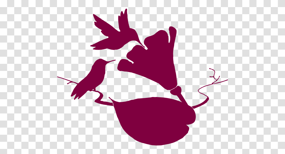 Hummingbird Burgundy Clip Art For Web, Animal, Plant, Flower, Blossom Transparent Png
