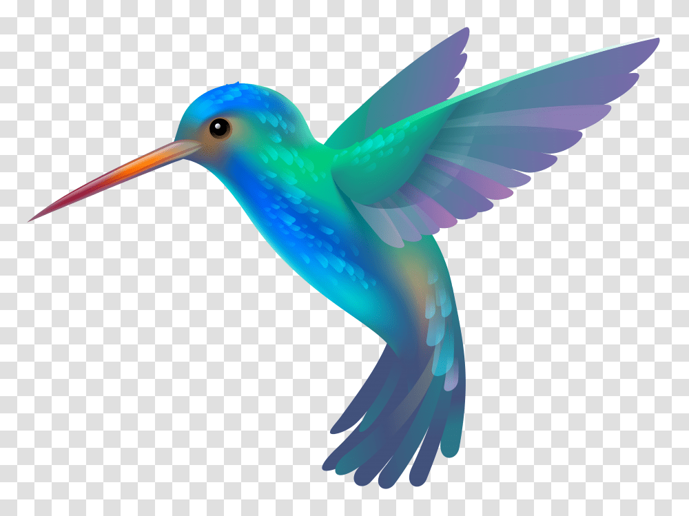 Hummingbird Clip Art, Animal, Kiwi Bird, Beak Transparent Png