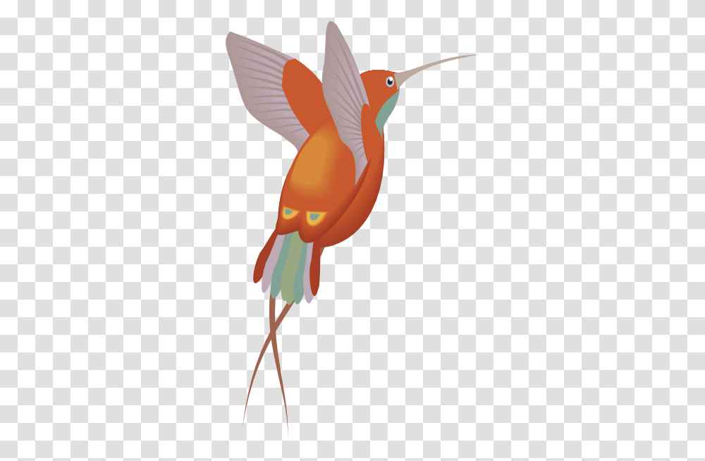 Hummingbird Clip Art Image, Animal, Cardinal, Bee Eater Transparent Png
