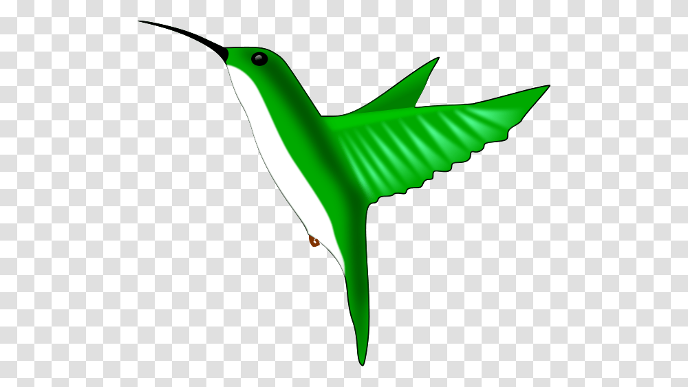 Hummingbird Clip Arts For Web, Animal, Flying, Transportation, Anole Transparent Png