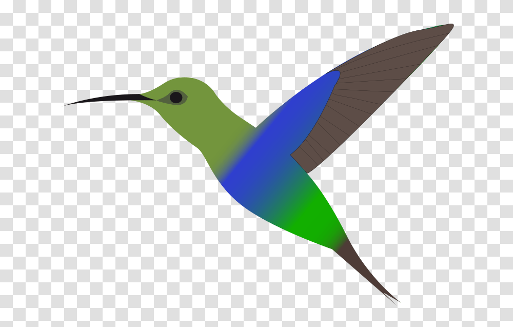 Hummingbird Clipart, Beak, Animal, Bee Eater Transparent Png