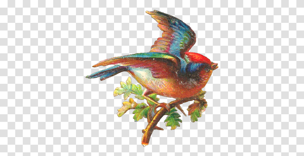 Hummingbird Clipart Beautiful Bird Pretty Bird Vintage Bird, Animal, Fish, Dinosaur, Reptile Transparent Png