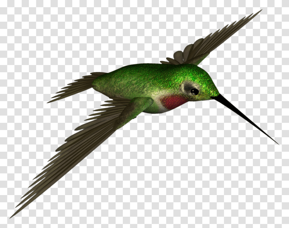 Hummingbird Clipart Colored Bird Dr Hummingbird, Animal, Bee Eater, Parakeet, Parrot Transparent Png
