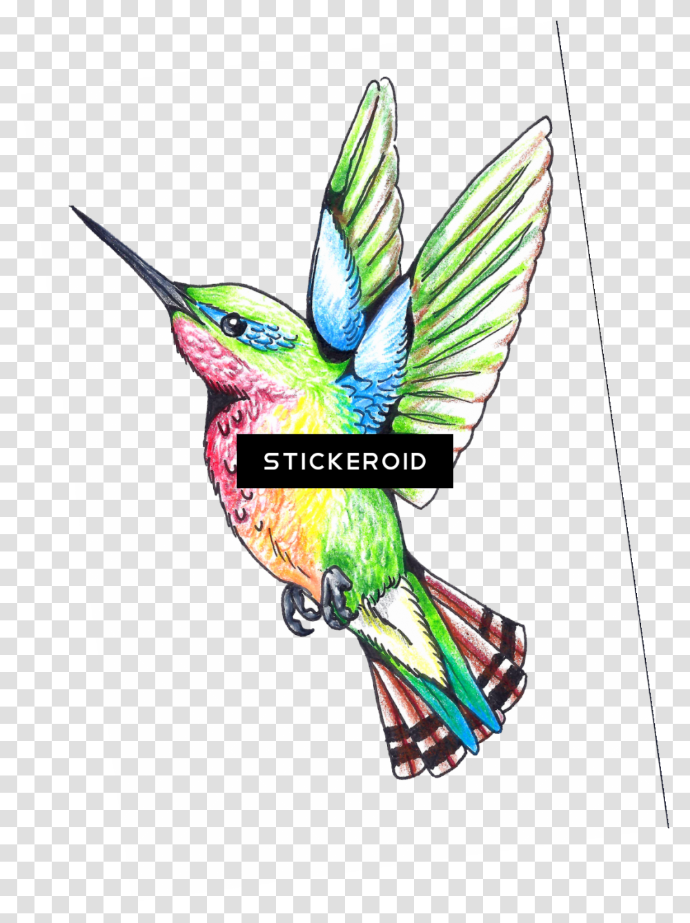 Hummingbird Clipart Download Humming Bird Clip Art, Animal, Bluebird, Jay, Flying Transparent Png