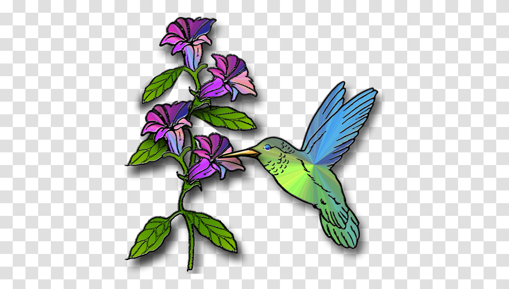 Hummingbird Clipart Free 3 Clipartix Hummingbird With Flowers Clipart, Animal, Plant, Bluebird, Floral Design Transparent Png