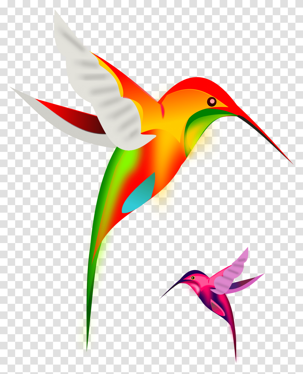 Hummingbird Clipart Free, Animal, Flying, Flower, Plant Transparent Png