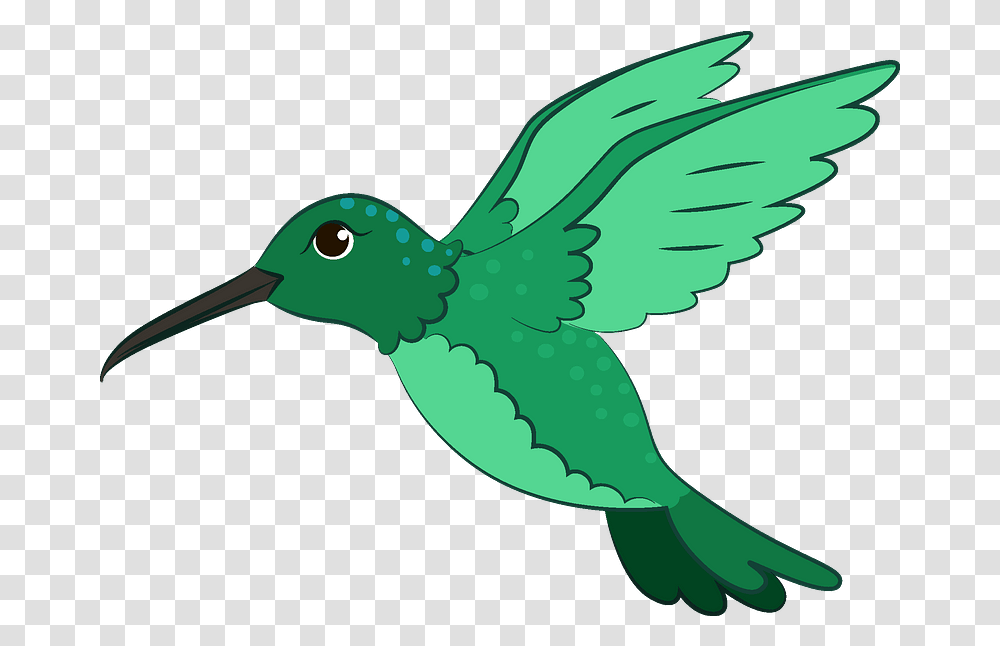 Hummingbird Clipart Free Download Creazilla Illustration, Animal, Jay, Beak, Green Transparent Png