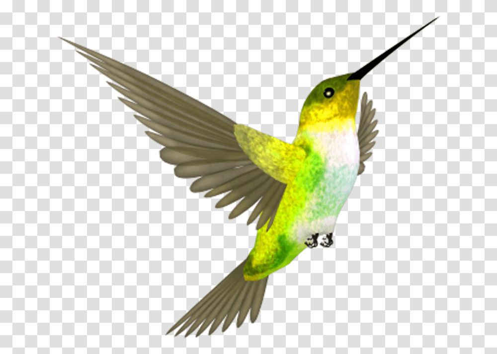 Hummingbird Clipart Hummingbird, Bee Eater, Animal Transparent Png