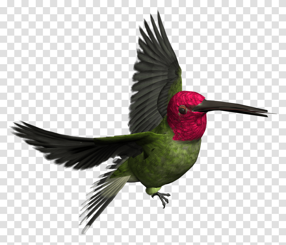 Hummingbird Clipart Realistic Animal Wood Pecker Birds, Bee Eater, Beak, Flying Transparent Png