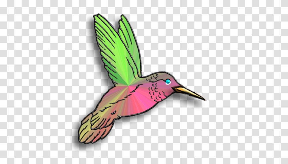 Hummingbird Cliparts, Animal, Beak, Flamingo Transparent Png