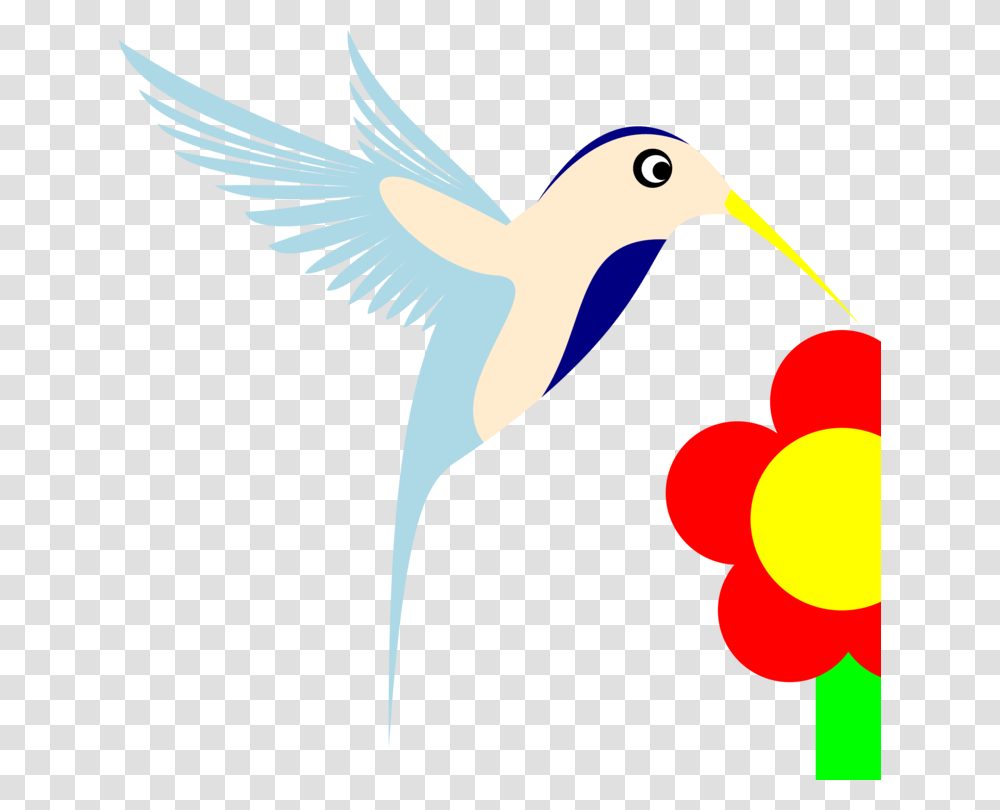 Hummingbird Computer Icons Beak, Animal, Flying Transparent Png