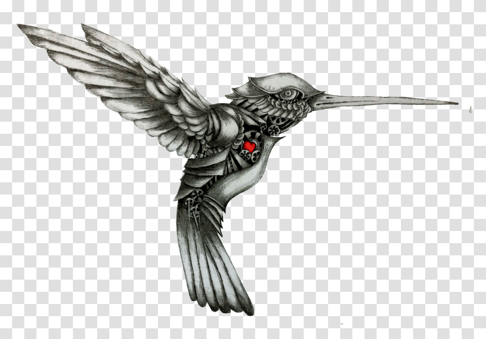 Hummingbird Drawing Tattoo Color Hummingbird Download Black And White Hummingbird Tattoo, Animal, Flying, Pigeon, Blackbird Transparent Png
