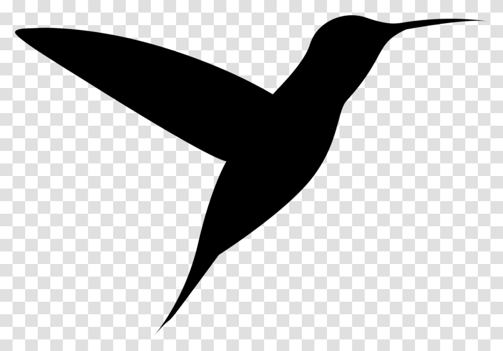 Hummingbird Fauna Water Bird Beak, Gray, World Of Warcraft Transparent Png