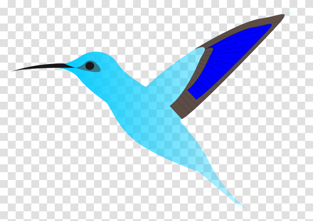 Hummingbird Flight Cartoon Wing, Animal, Bluebird, Beak, Sea Life Transparent Png