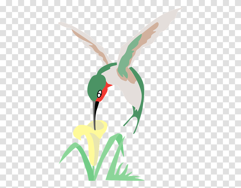 Hummingbird Green Flower Free Vector Graphic On Pixabay Hummingbird And Flower Cartoon, Animal, Beak, Graphics Transparent Png