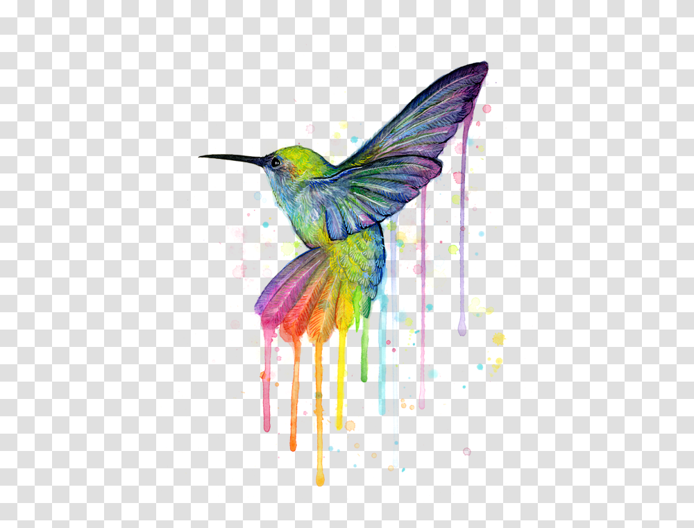 Hummingbird Hummingbird Of Watercolor Rainbow, Animal, Graphics, Art, Bee Eater Transparent Png