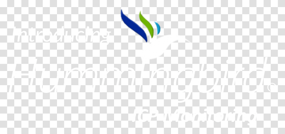 Hummingbird Icp Monitoring Graphic Design, Logo, Trademark Transparent Png