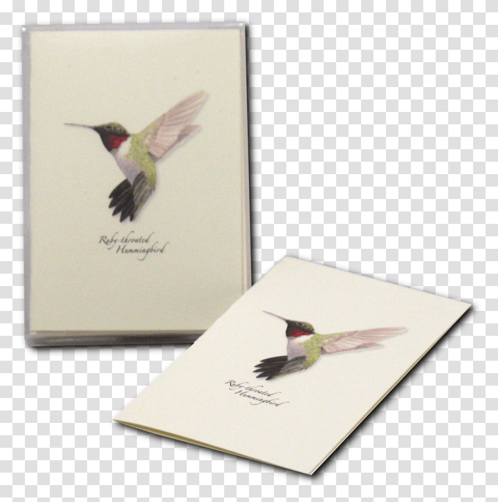 Hummingbird Illustration, Animal Transparent Png