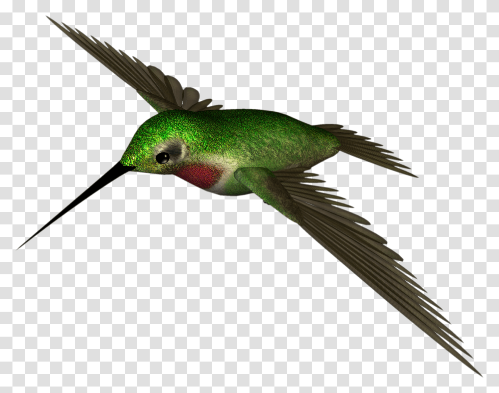 Hummingbird Images, Animal, Bee Eater Transparent Png