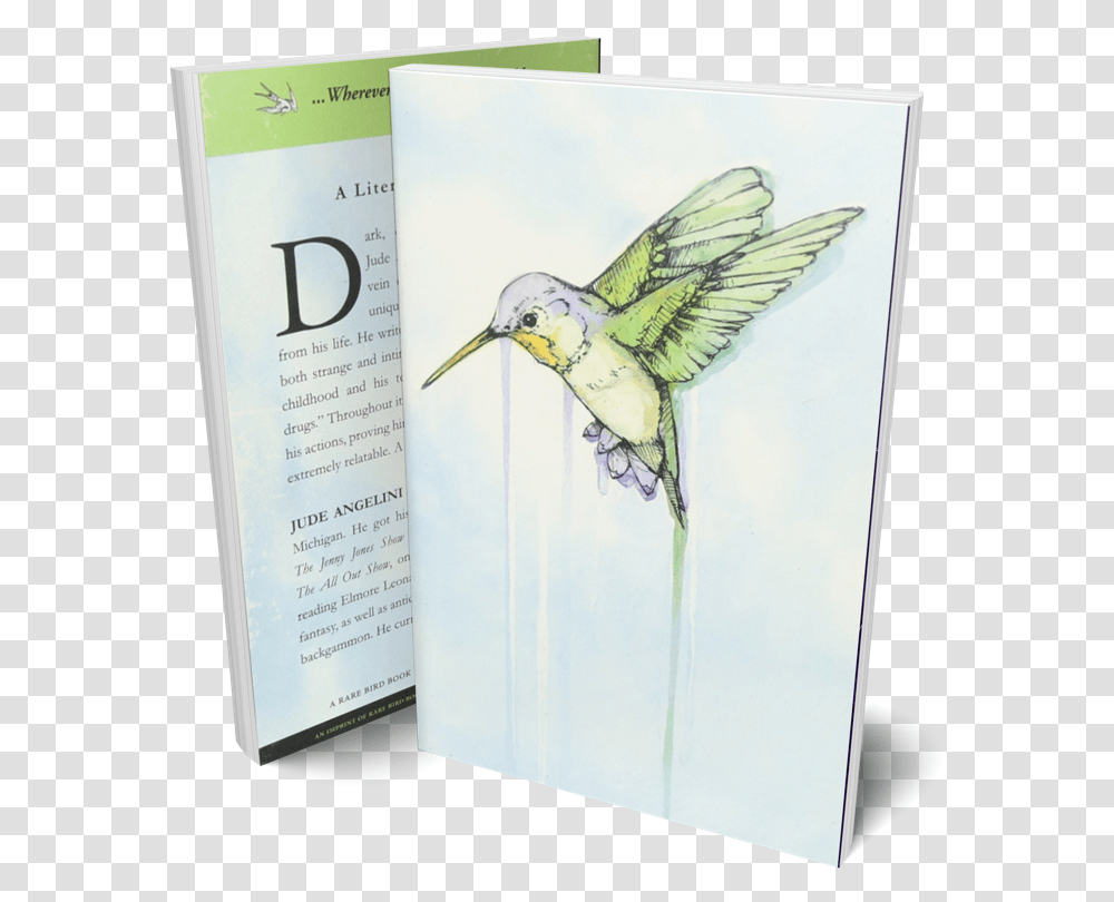 Hummingbird Jude Angelini, Animal, Advertisement, Flyer, Poster Transparent Png