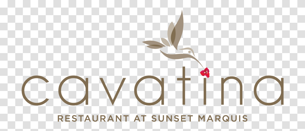 Hummingbird Logo For Cavatina West Hollywood, Alphabet, Plant, Petal Transparent Png