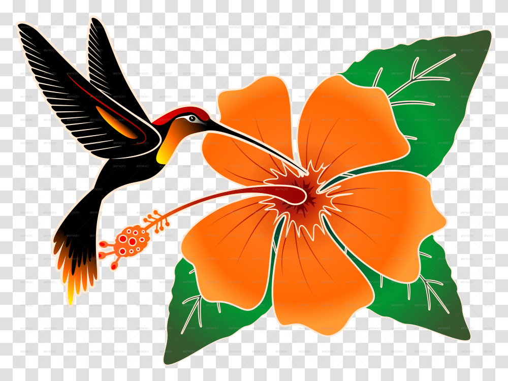 Hummingbird Orange Hibiscus And Hummingbirdpng Portable Network Graphics, Plant, Geranium, Flower, Blossom Transparent Png