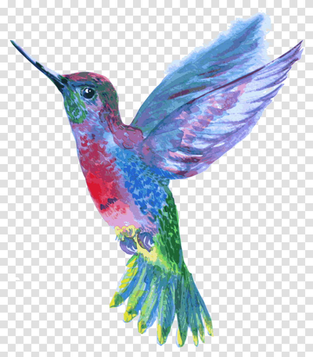 Hummingbird Pink Blue Purple Hummingbird, Animal, Bee Eater, Flying Transparent Png