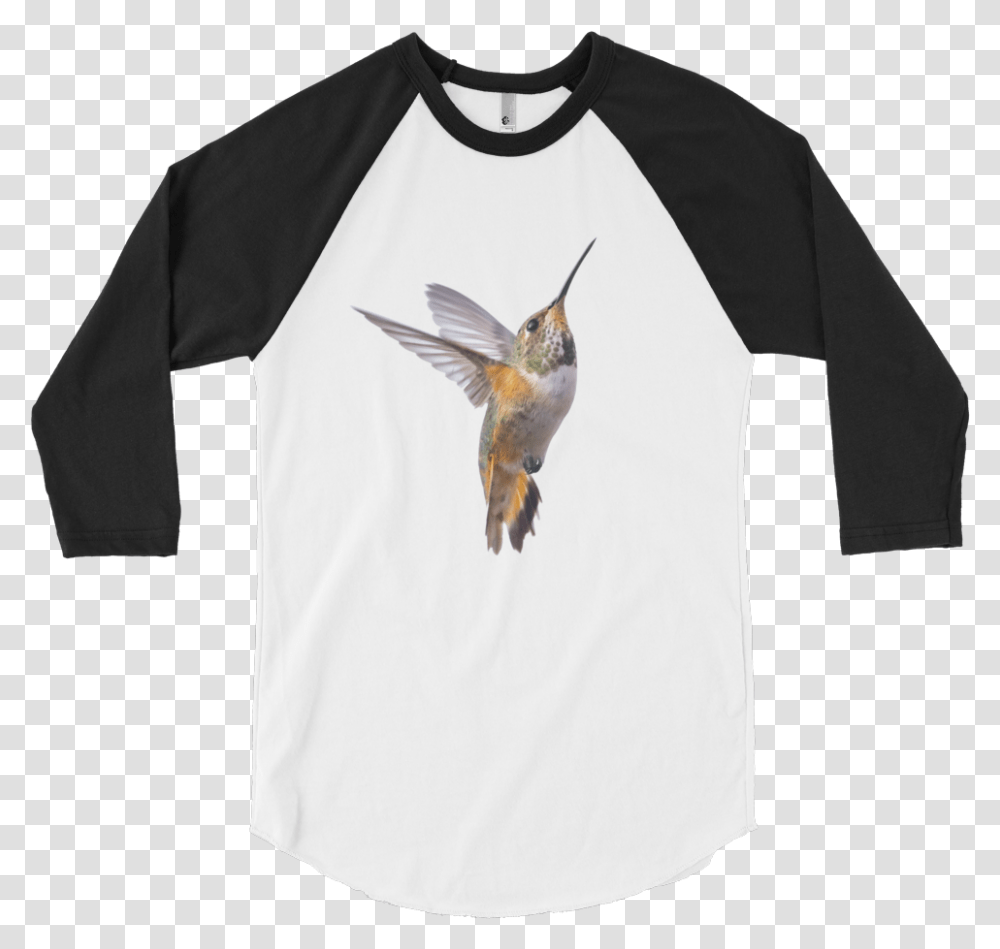 Hummingbird Print 34 Sleeve Raglan Shirt Endangeredanimalsco Raglan Sleeve, Clothing, Long Sleeve, T-Shirt, Person Transparent Png