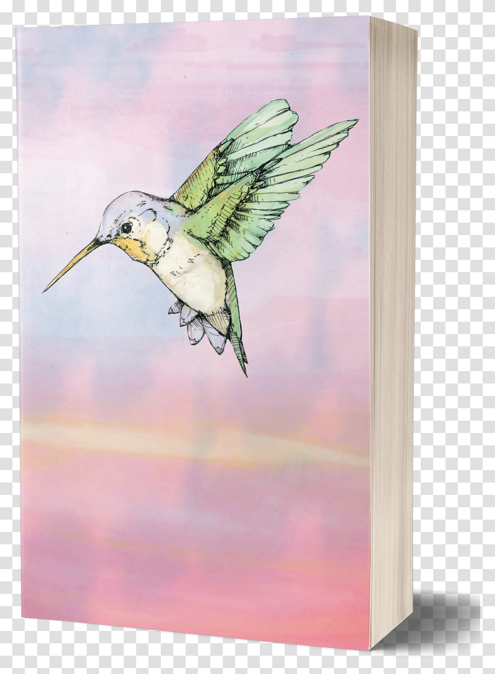 Hummingbird Red Sunset Cover Hummingbird Art Jude Angelini Review, Animal, Jay, Bee Eater Transparent Png