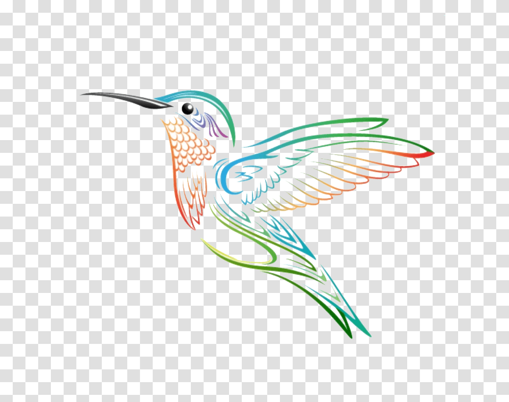 Hummingbird Tattoo, Animal, Bee Eater, Jay, Blue Jay Transparent Png