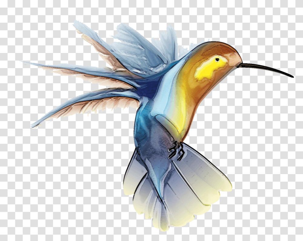 Hummingbird Tattoo Free Hummingbird Clip Art, Animal, Aquatic, Flying Transparent Png