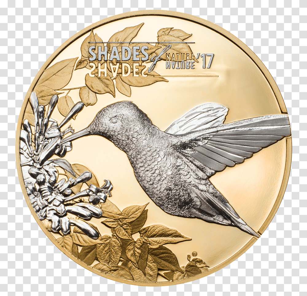 Hummingbird - Cit Coin Invest Ag Hummingbird Silver Coin, Gold, Money, Animal, Bronze Transparent Png
