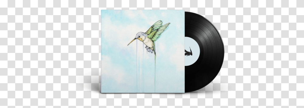 Hummingbird Vinyl Audiobook Signed Hummingbird, Animal, Art, Jay, Flying Transparent Png