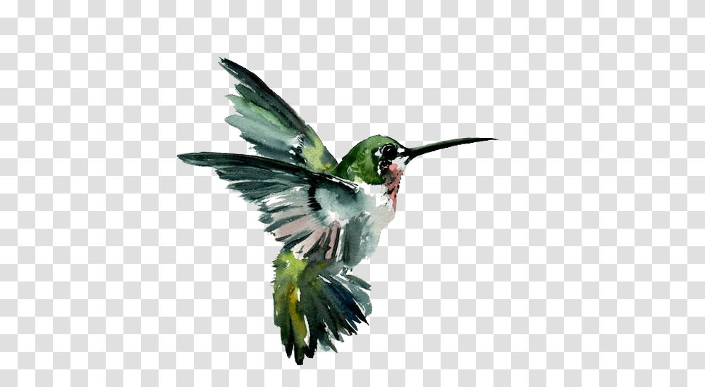 Hummingbird Watercolor Painting Drawing Flying Birds Painting Art, Animal, Bee Eater Transparent Png