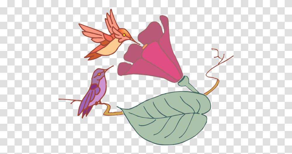 Hummingbirds And A Flower Clip Art, Animal, Floral Design, Pattern Transparent Png