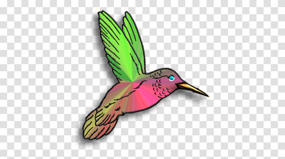 Hummingbirds And Image Art Pictures Of Hummingbirds, Beak, Animal, Flamingo Transparent Png