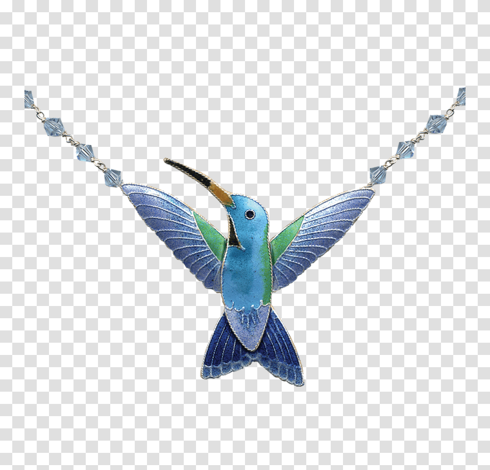 Hummingbirds Bamboo Jewelry, Bluebird, Animal, Jay, Flying Transparent Png
