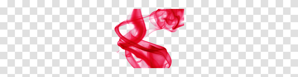 Humo Image, Apparel, Ear, Flower Transparent Png