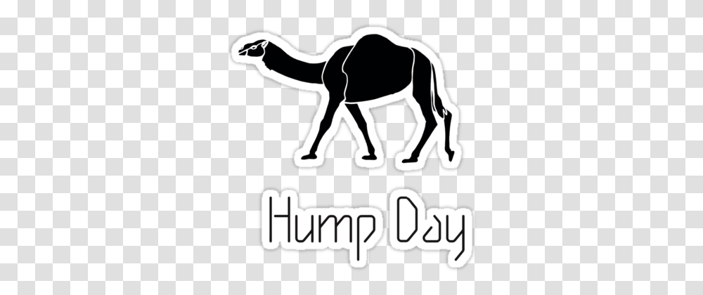 Hump Day Camel Sticker, Stencil, Label, Antelope Transparent Png