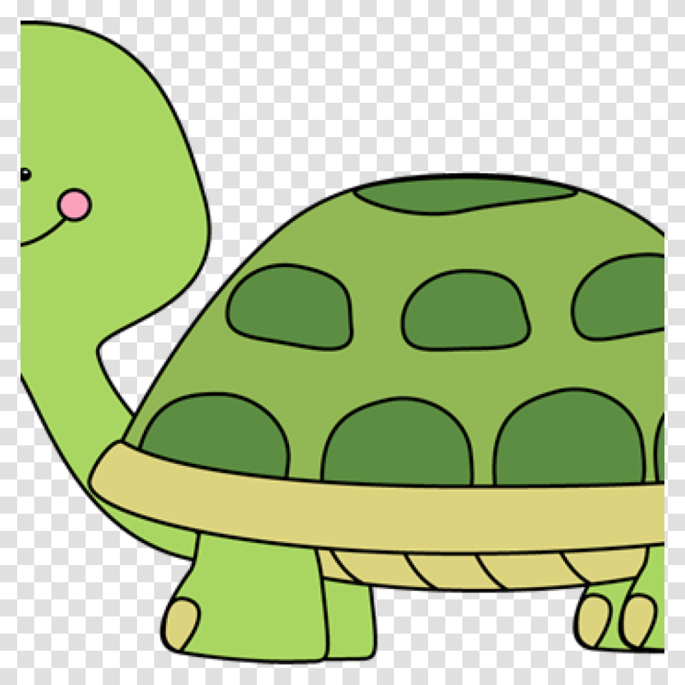 Hump Day Cartoon Turtle, Animal, Bird, Reptile Transparent Png
