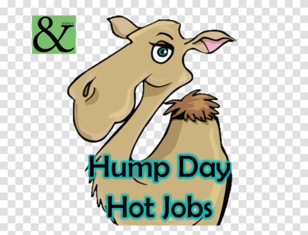 Hump Day Hot Jobs Knfampt Staffing Resources, Animal, Mammal, Goat, Sheep Transparent Png