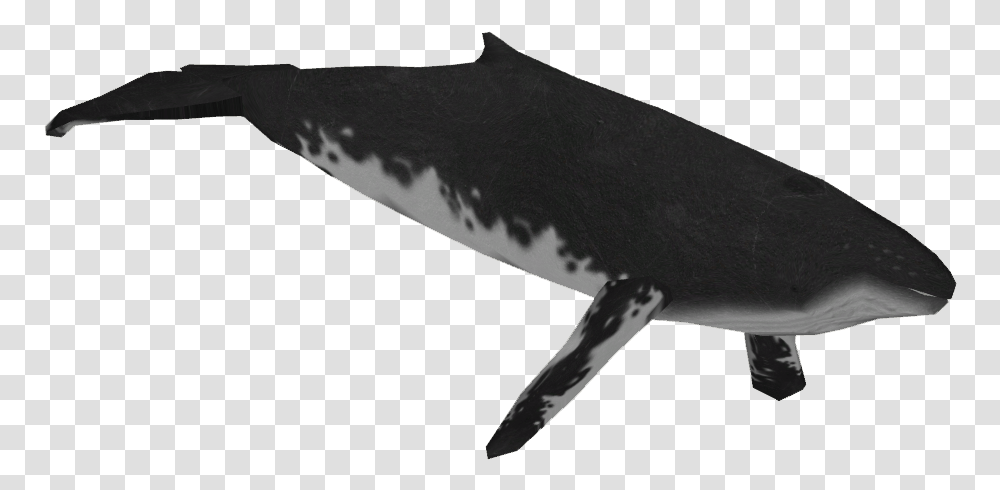 Humpback Whale, Axe, Tool, Sea Life, Animal Transparent Png