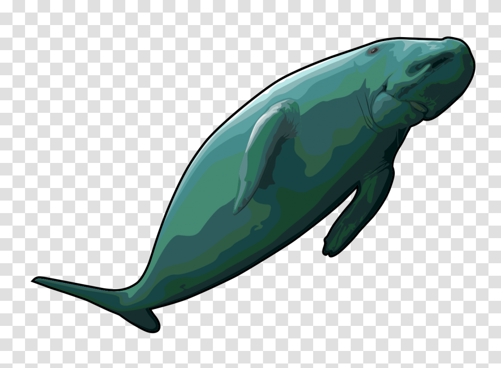 Humpback Whale Clip Art Movieweb, Animal, Mammal, Green, Sea Life Transparent Png