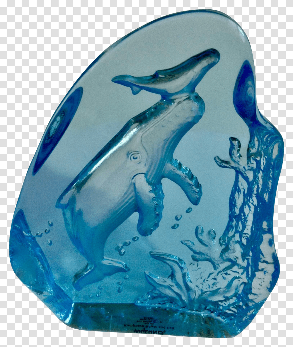 Humpback Whale Common Bottlenose Dolphin, Shark, Animal, Pottery, Wildlife Transparent Png